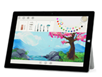 玉环Surface 无法开启、Windows 无法启动或电池无法充电