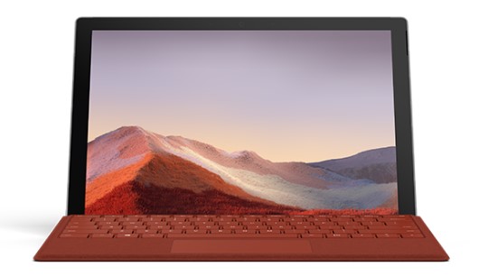 玉环清洁和维护 Surface